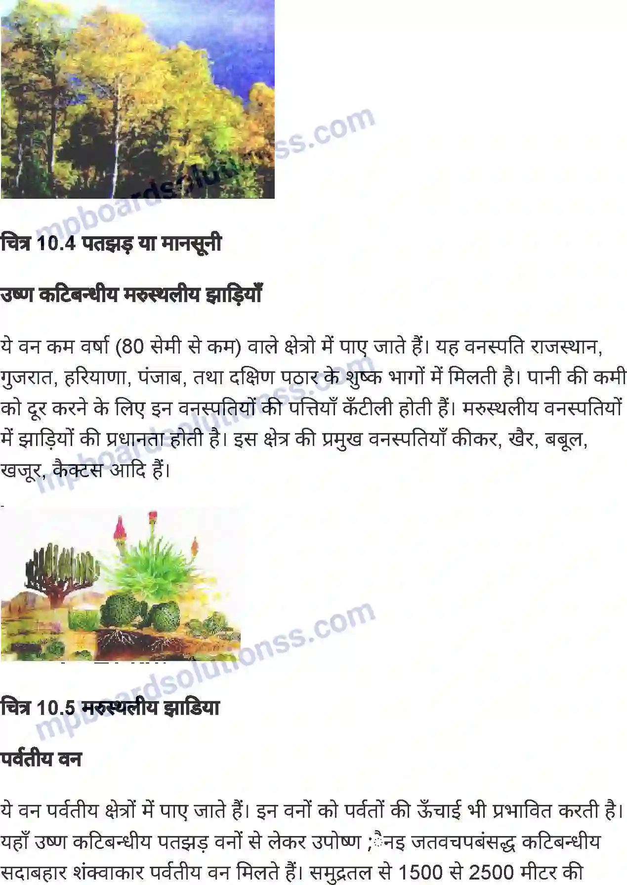 MP Board Book for Class 6 Social Science भारत मृदा, वनस्पति एवं वन्य-जीव Image 7
