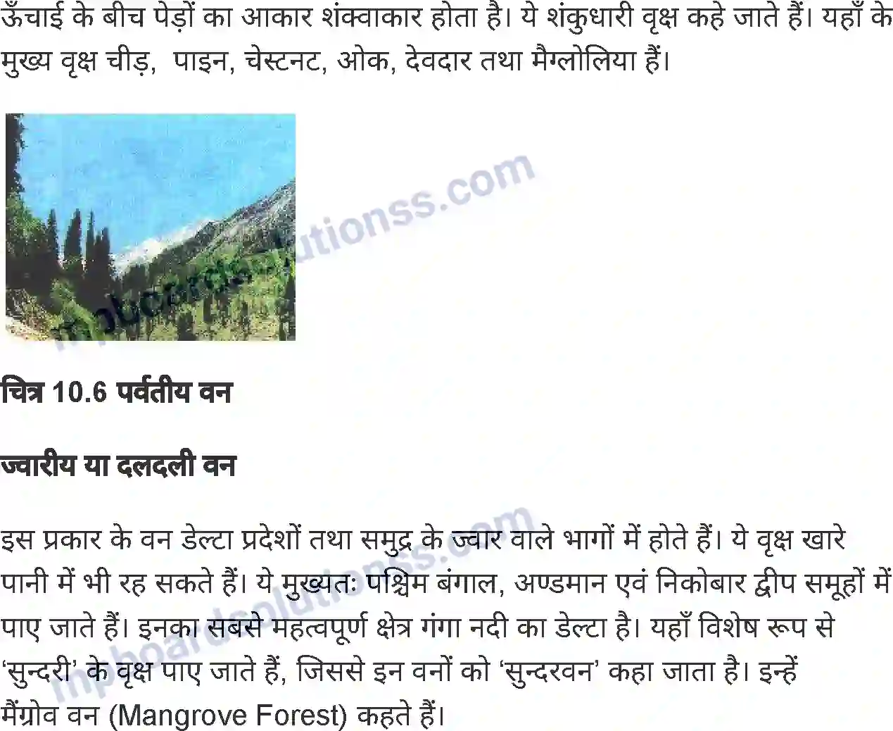 MP Board Book for Class 6 Social Science भारत मृदा, वनस्पति एवं वन्य-जीव Image 8