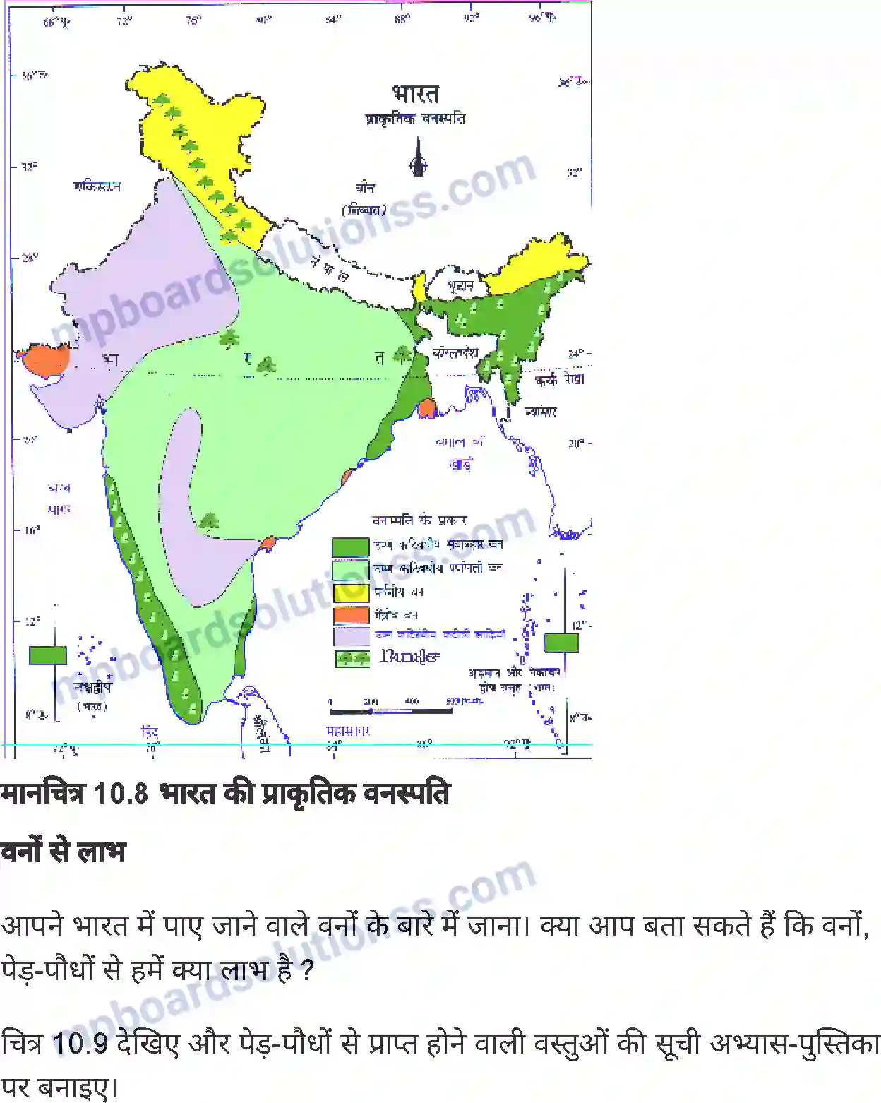 MP Board Book for Class 6 Social Science भारत मृदा, वनस्पति एवं वन्य-जीव Image 9