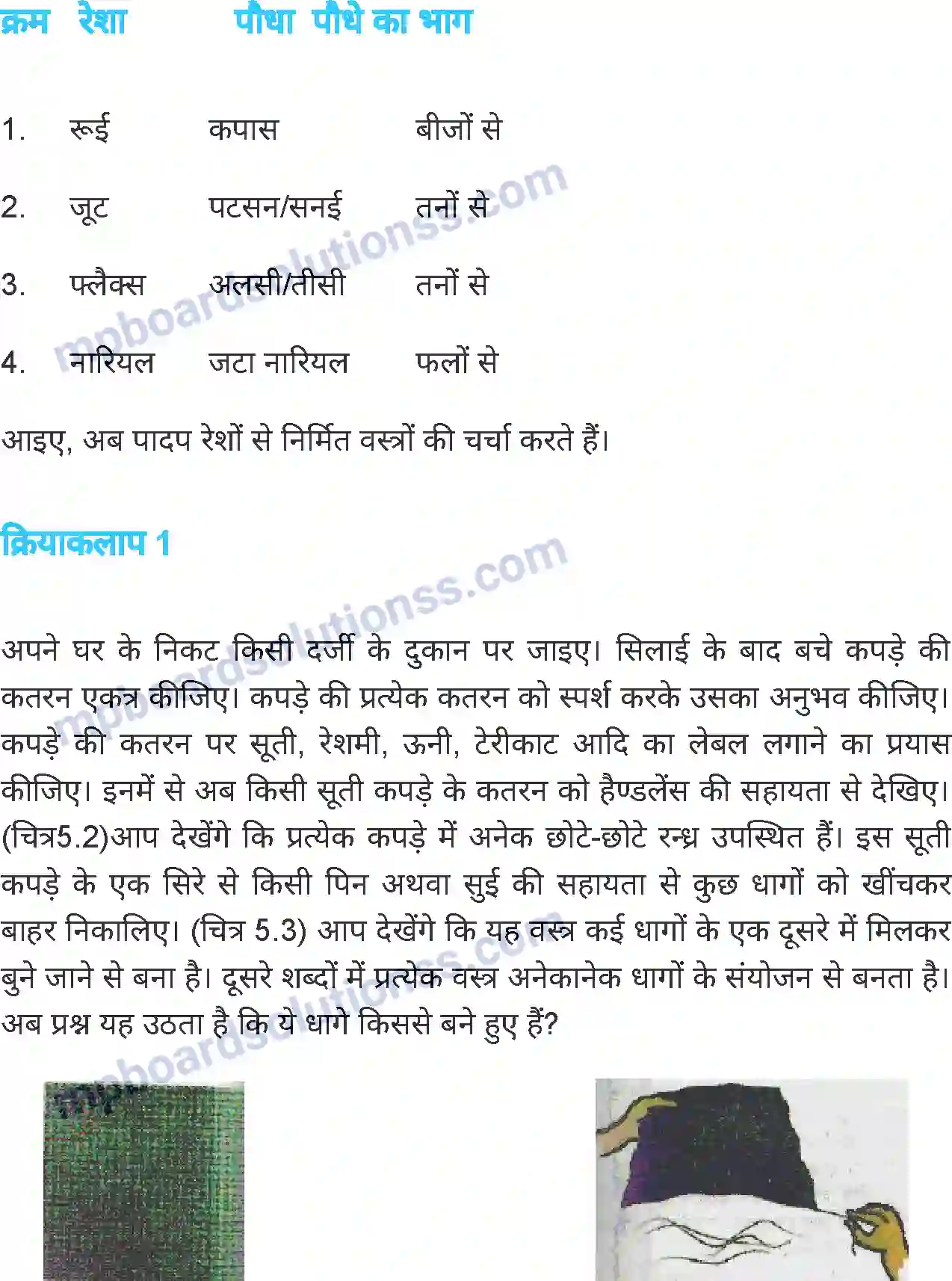 MP Board Book for Class 6 Science तंतु से वस्त्र तक Image 3