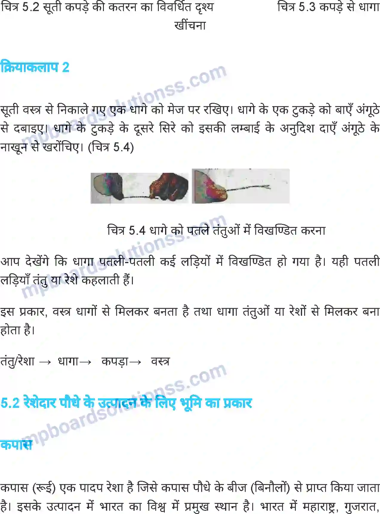 MP Board Book for Class 6 Science तंतु से वस्त्र तक Image 4