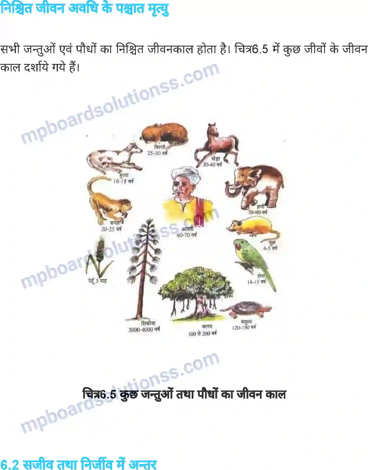 MP Board Book for Class 6 Science जीव जगत Image 7