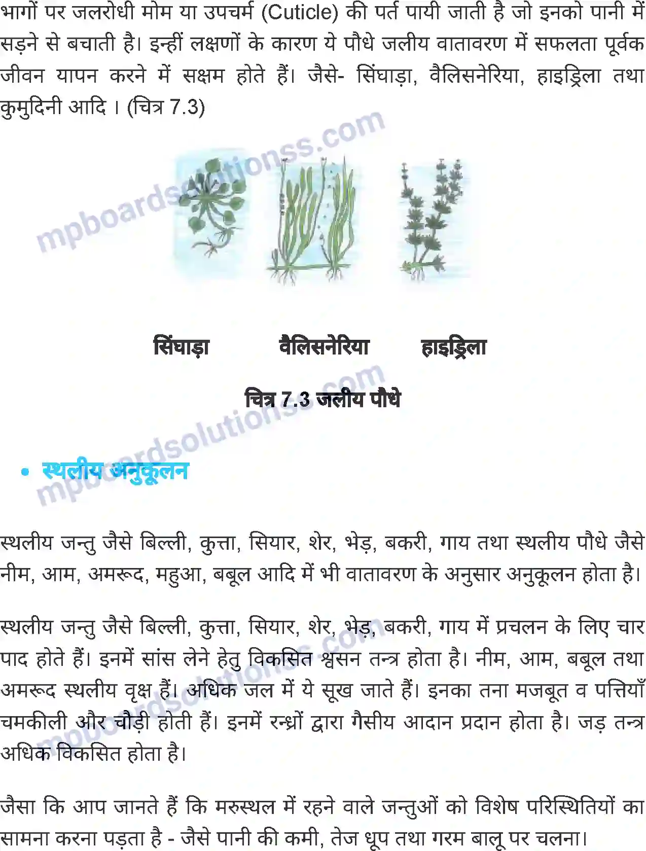 MP Board Book for Class 6 Science जीवों में अनुकूलन Image 7