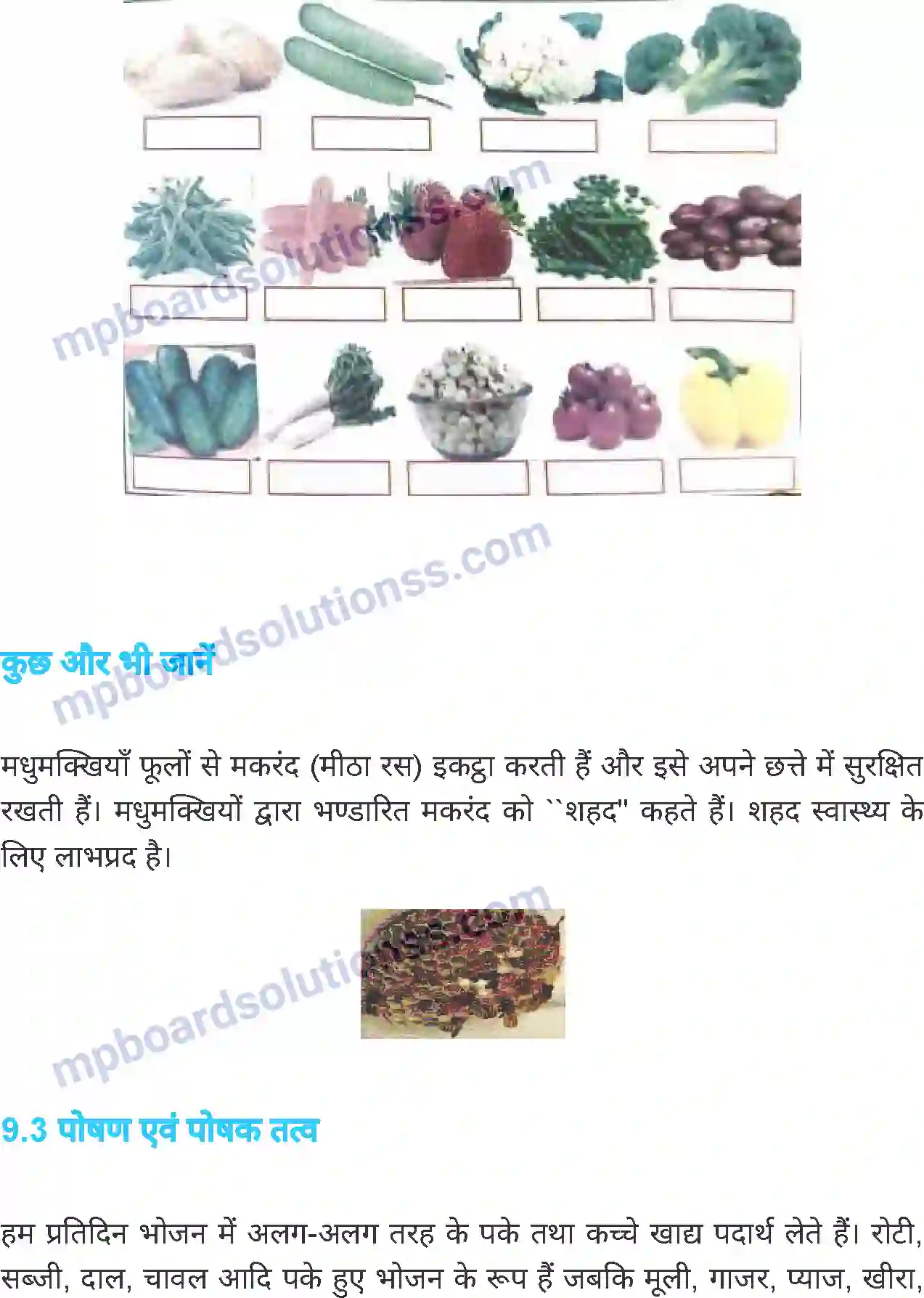 MP Board Book for Class 6 Science भोजन एवं स्वास्थ्य Image 5