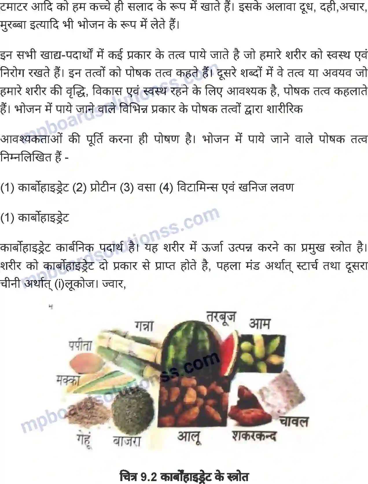 MP Board Book for Class 6 Science भोजन एवं स्वास्थ्य Image 6