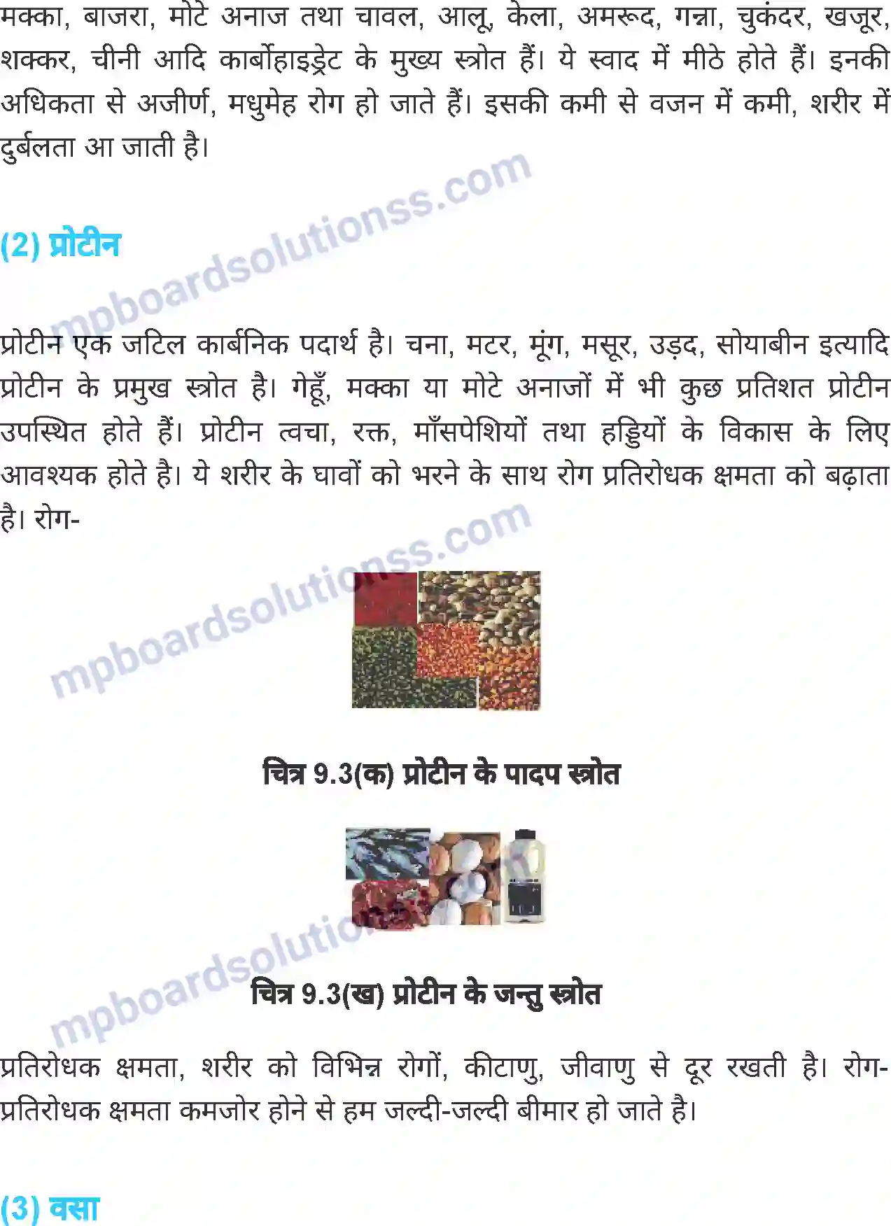 MP Board Book for Class 6 Science भोजन एवं स्वास्थ्य Image 7