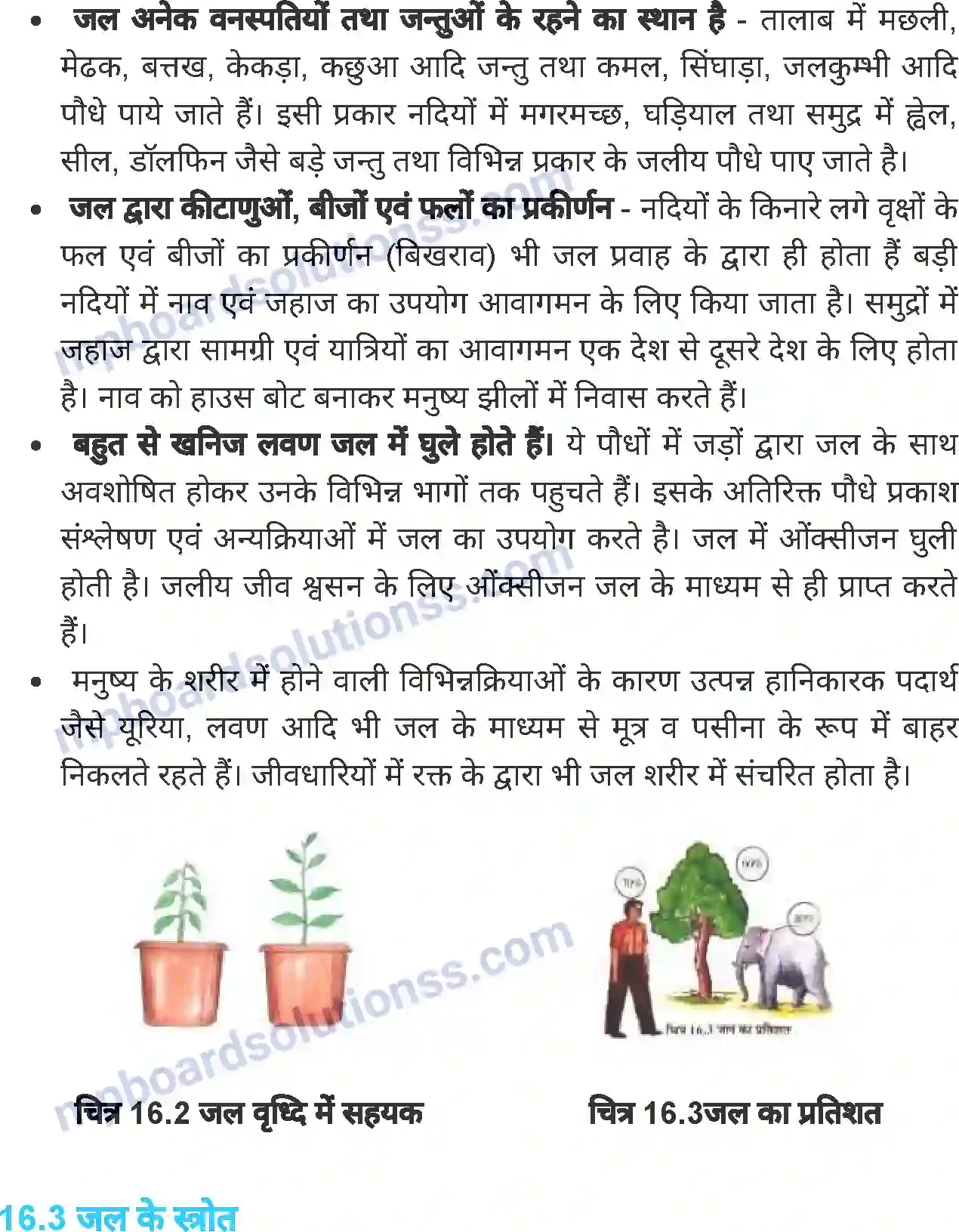 MP Board Book for Class 6 Science जल Image 3