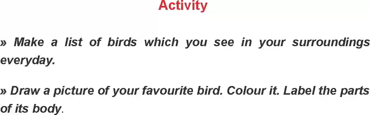 MP Board Book for Class 7 English Little Birdie Image 4