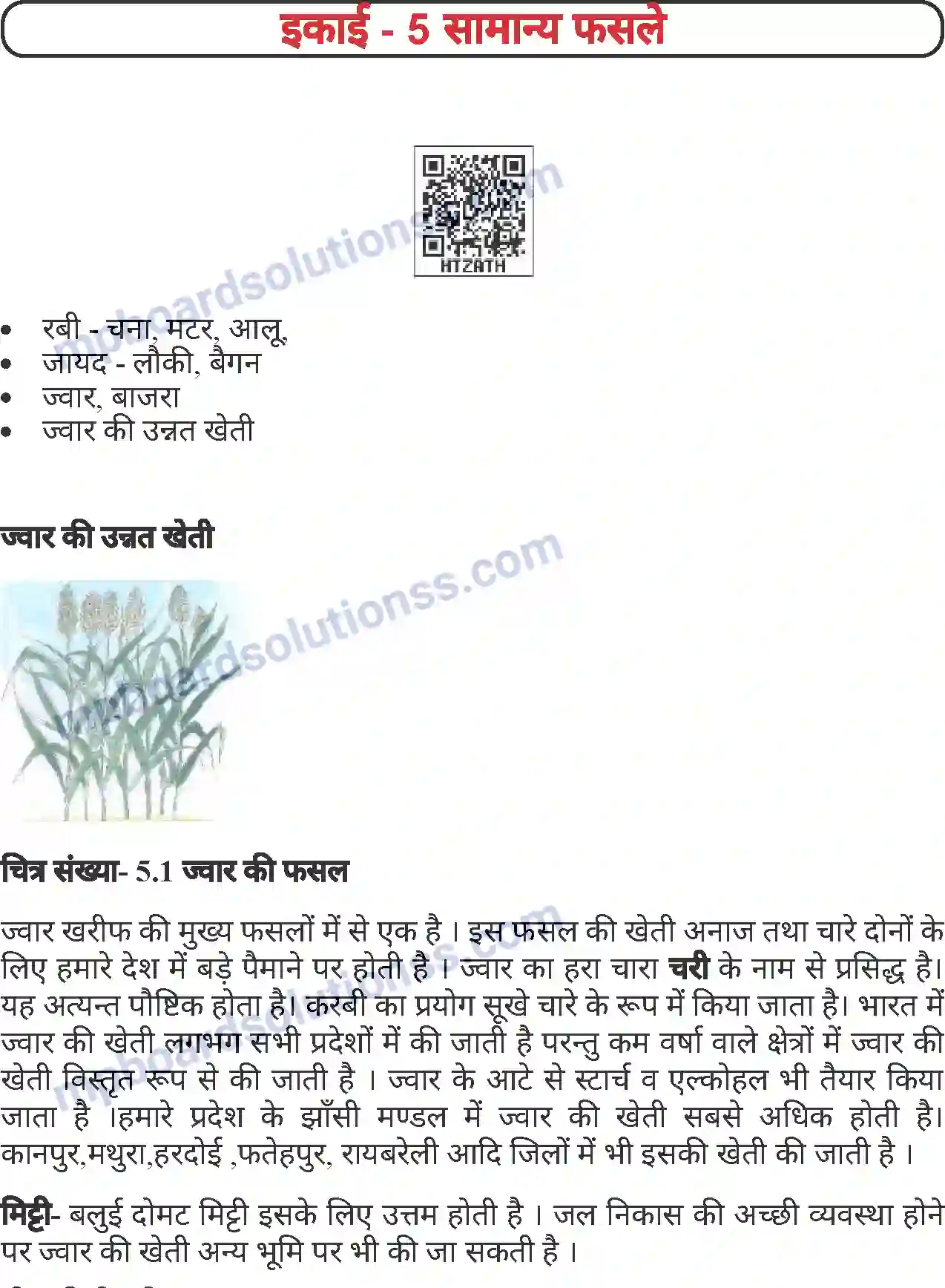 MP Board Book for Class 7 Agriculture सामान्य फसलें Image 1