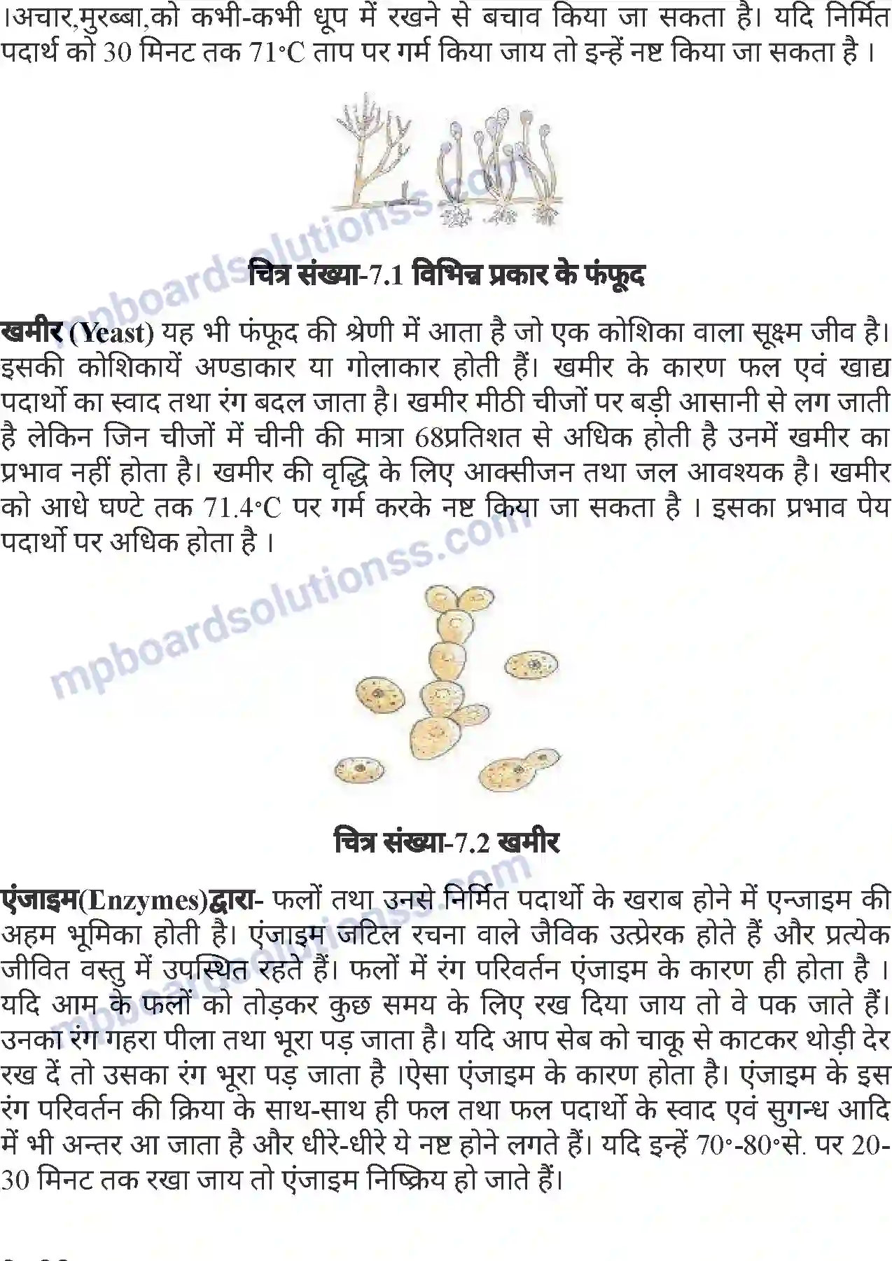 MP Board Book for Class 7 Agriculture फल परिरक्षण Image 2