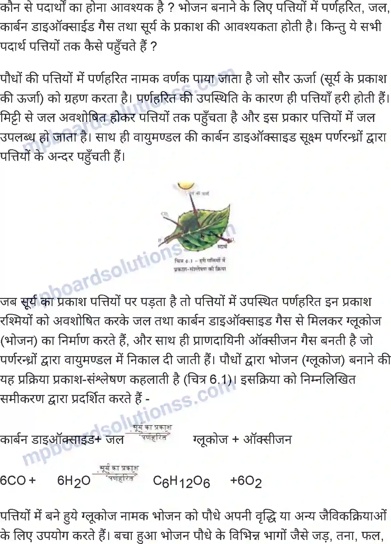 MP Board Book for Class 7 Science पौधों में पोषण Image 2