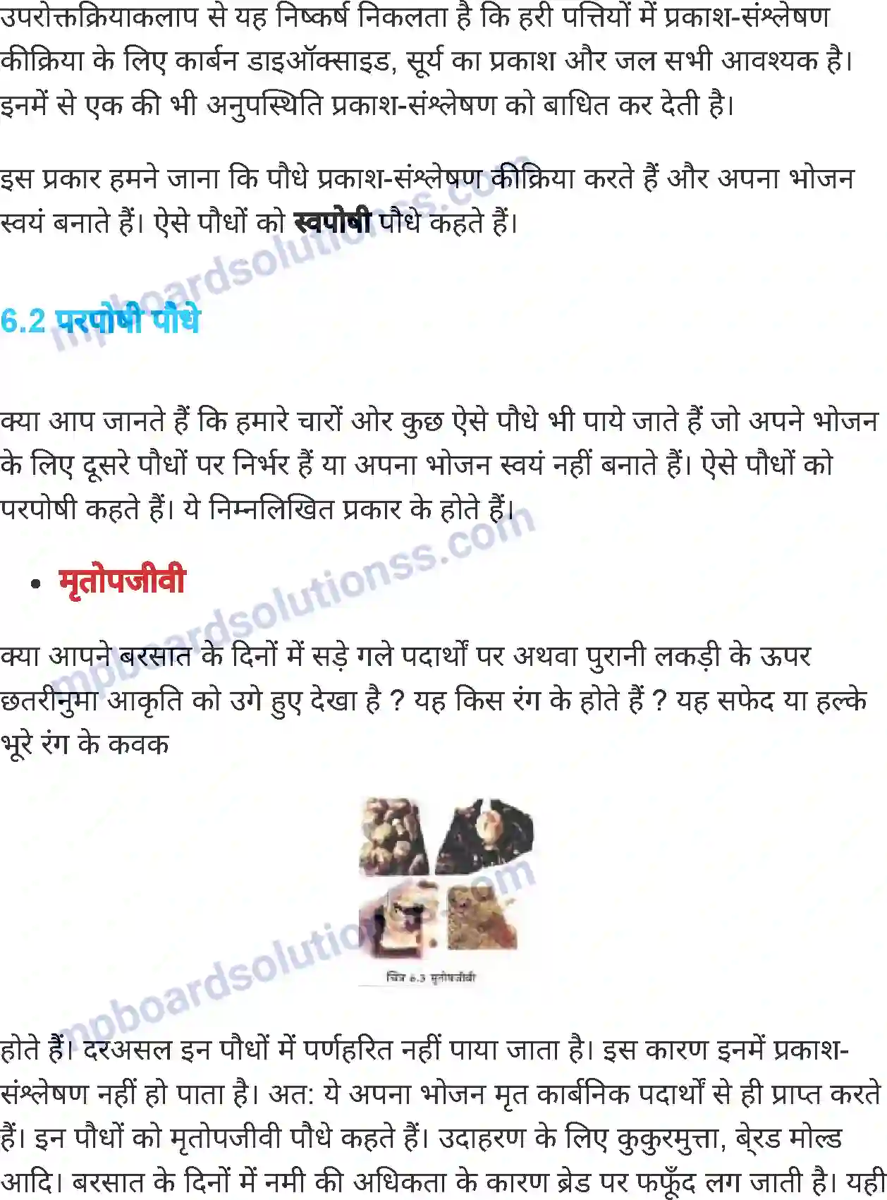 MP Board Book for Class 7 Science पौधों में पोषण Image 5