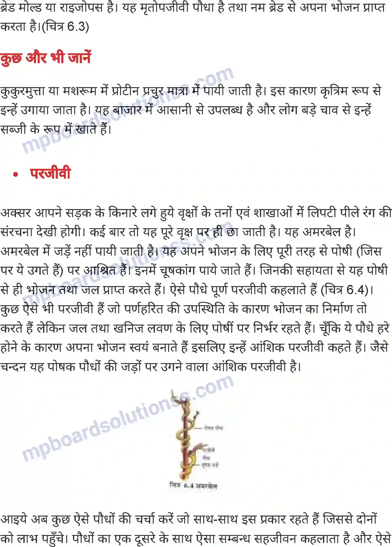 MP Board Book for Class 7 Science पौधों में पोषण Image 6
