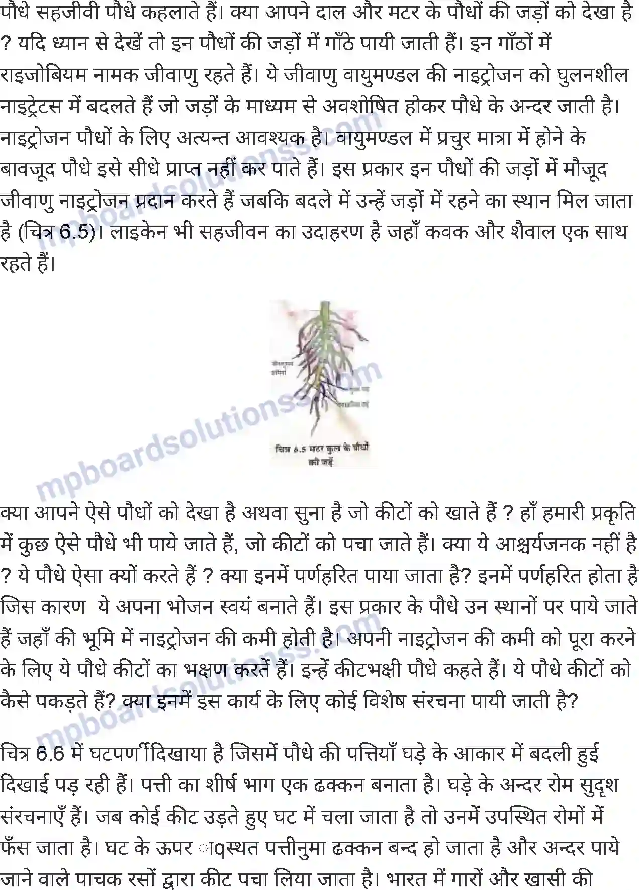 MP Board Book for Class 7 Science पौधों में पोषण Image 7