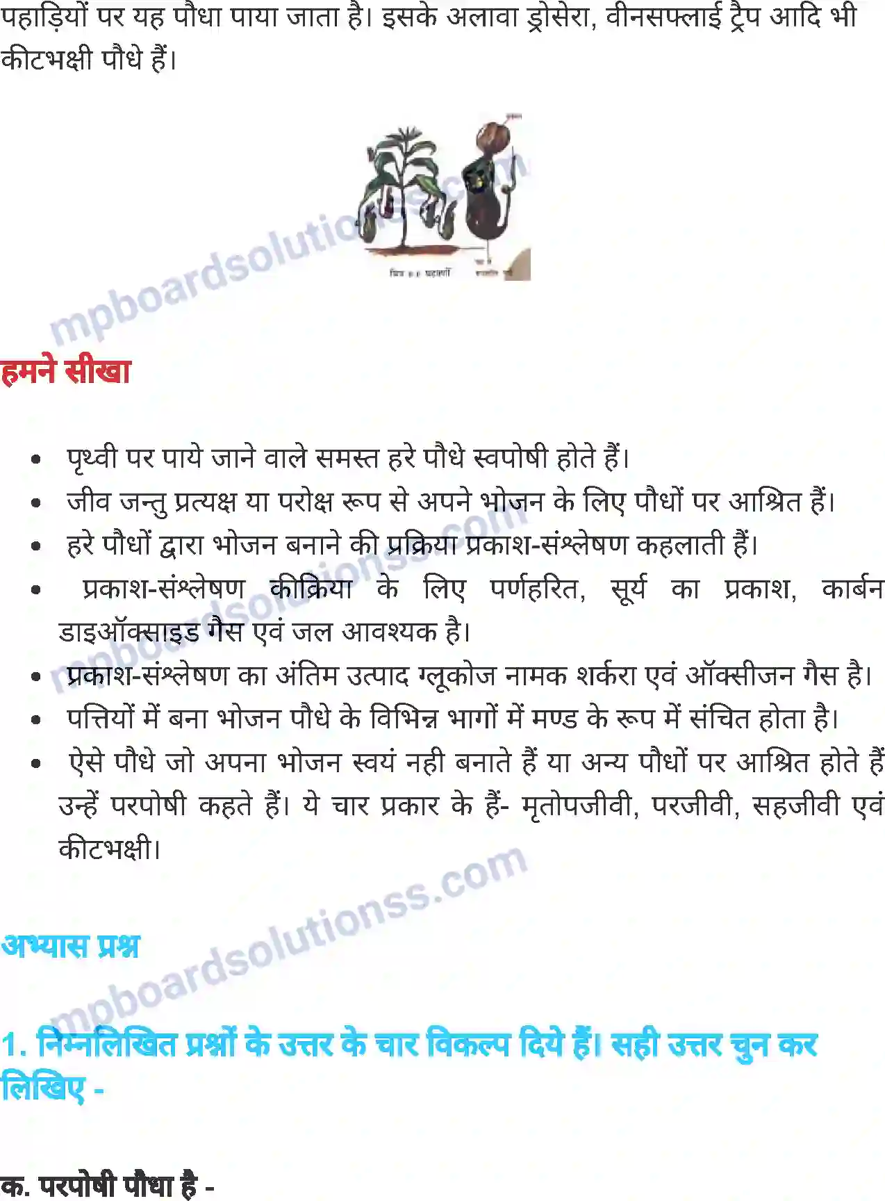 MP Board Book for Class 7 Science पौधों में पोषण Image 8