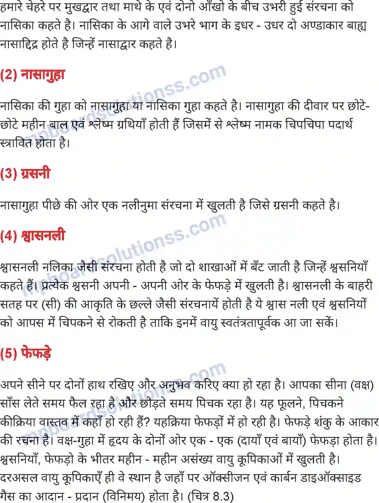 MP Board Book for Class 7 Science जीवों में श्वसन Image 5
