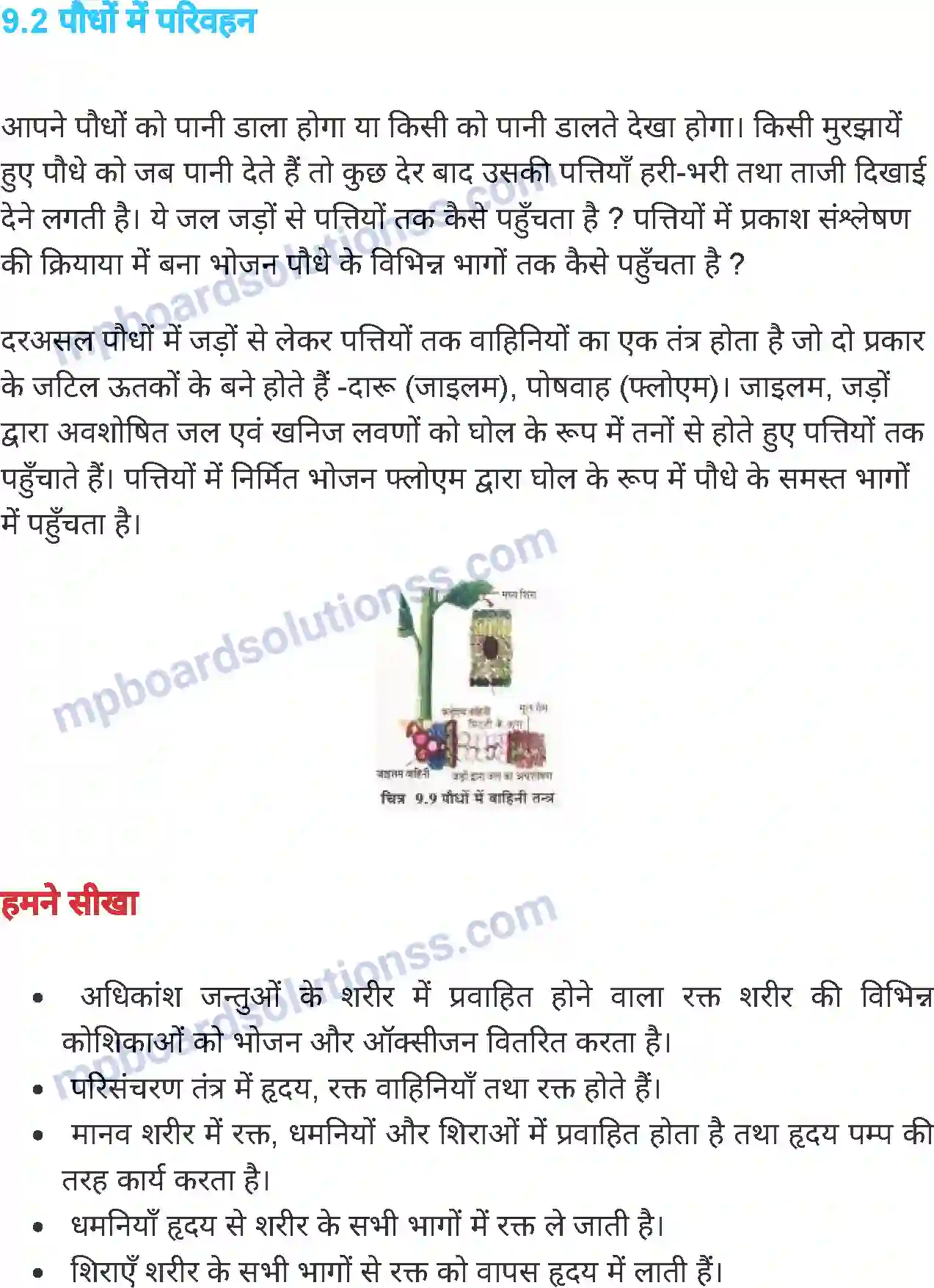MP Board Book for Class 7 Science जंतुओं एवं पौधों में परिवहन Image 13