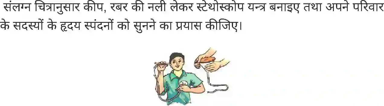 MP Board Book for Class 7 Science जंतुओं एवं पौधों में परिवहन Image 17