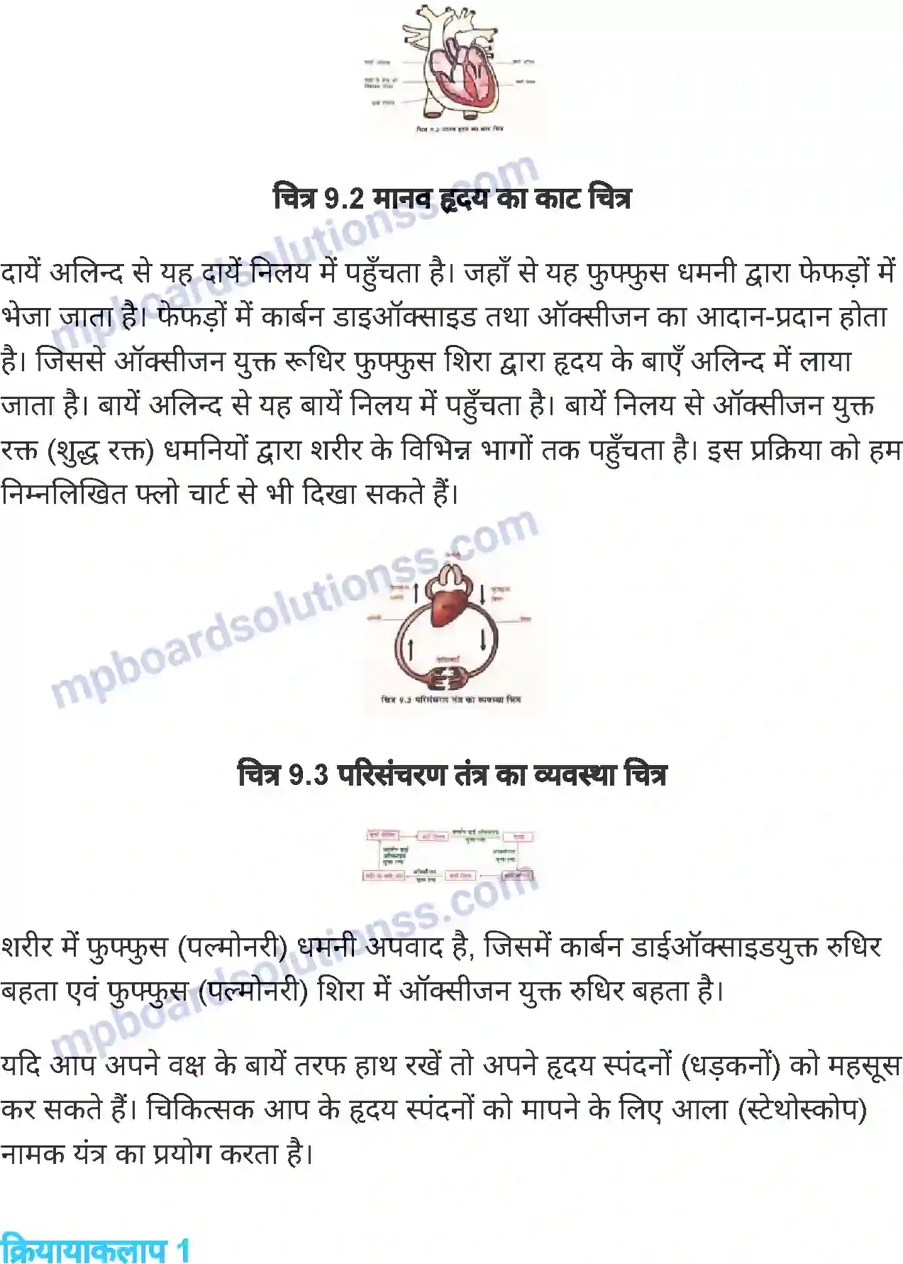 MP Board Book for Class 7 Science जंतुओं एवं पौधों में परिवहन Image 3