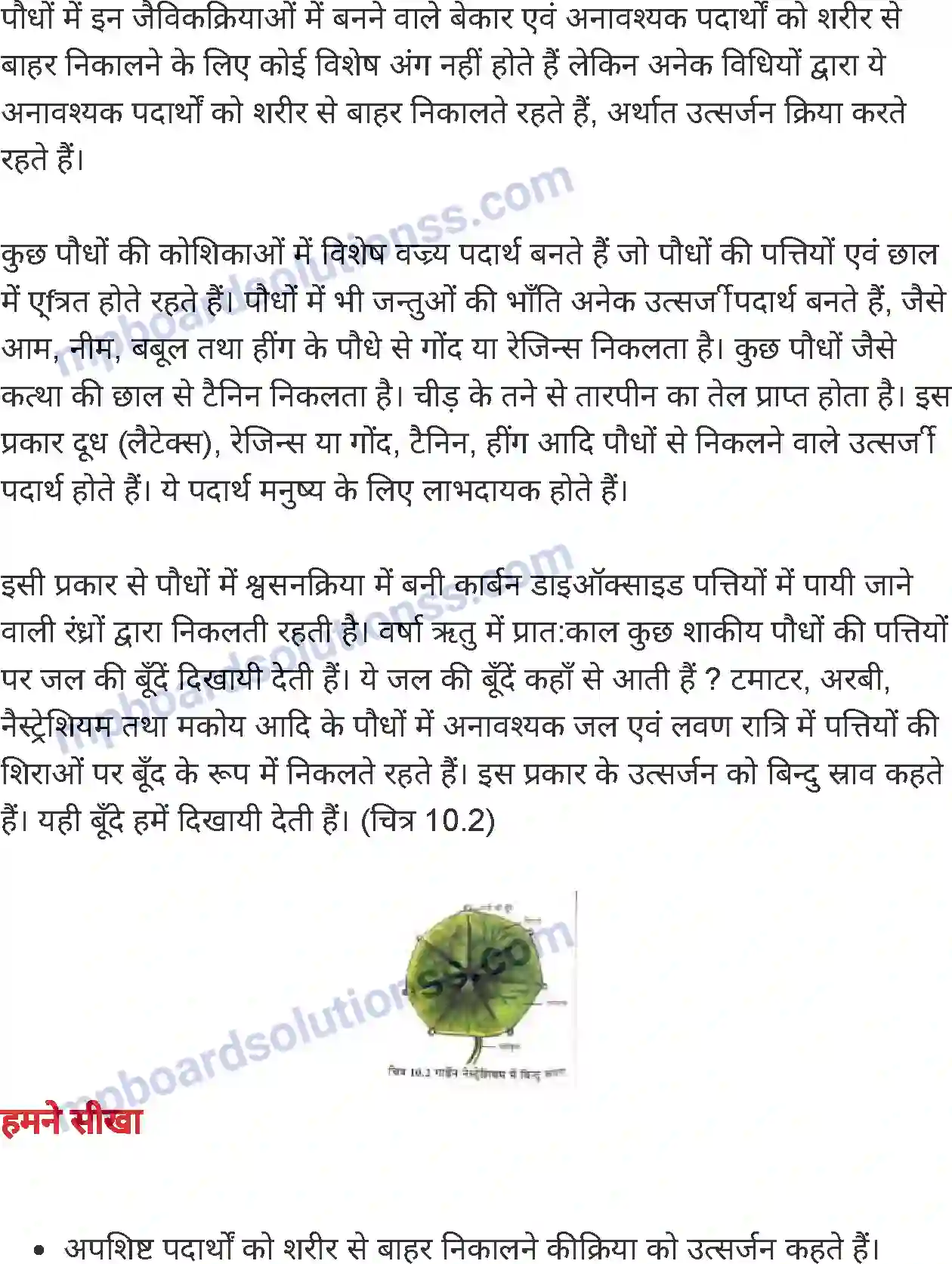MP Board Book for Class 7 Science जीवों में उत्सर्जन Image 5