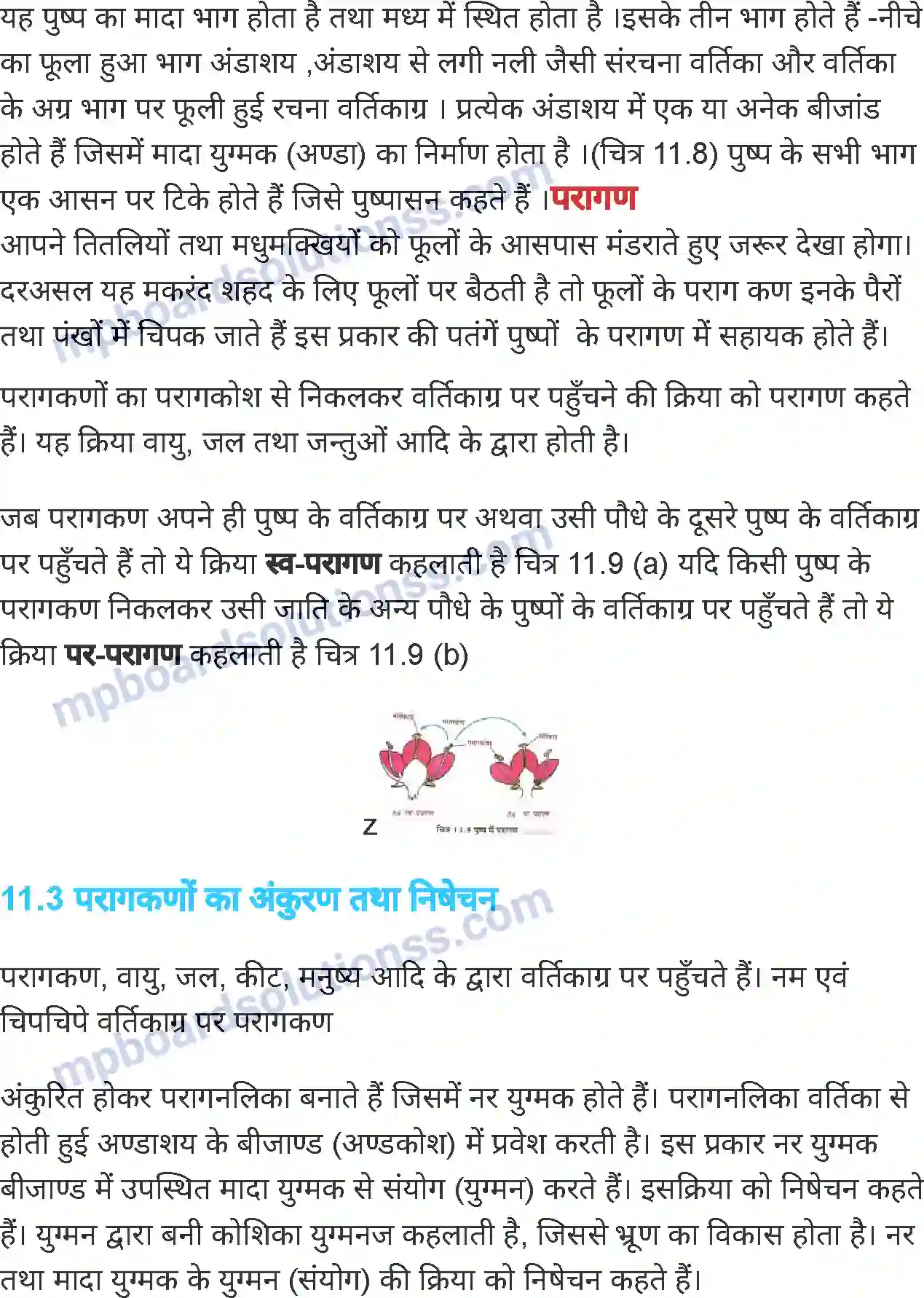 MP Board Book for Class 7 Science पौधों में जनन Image 7