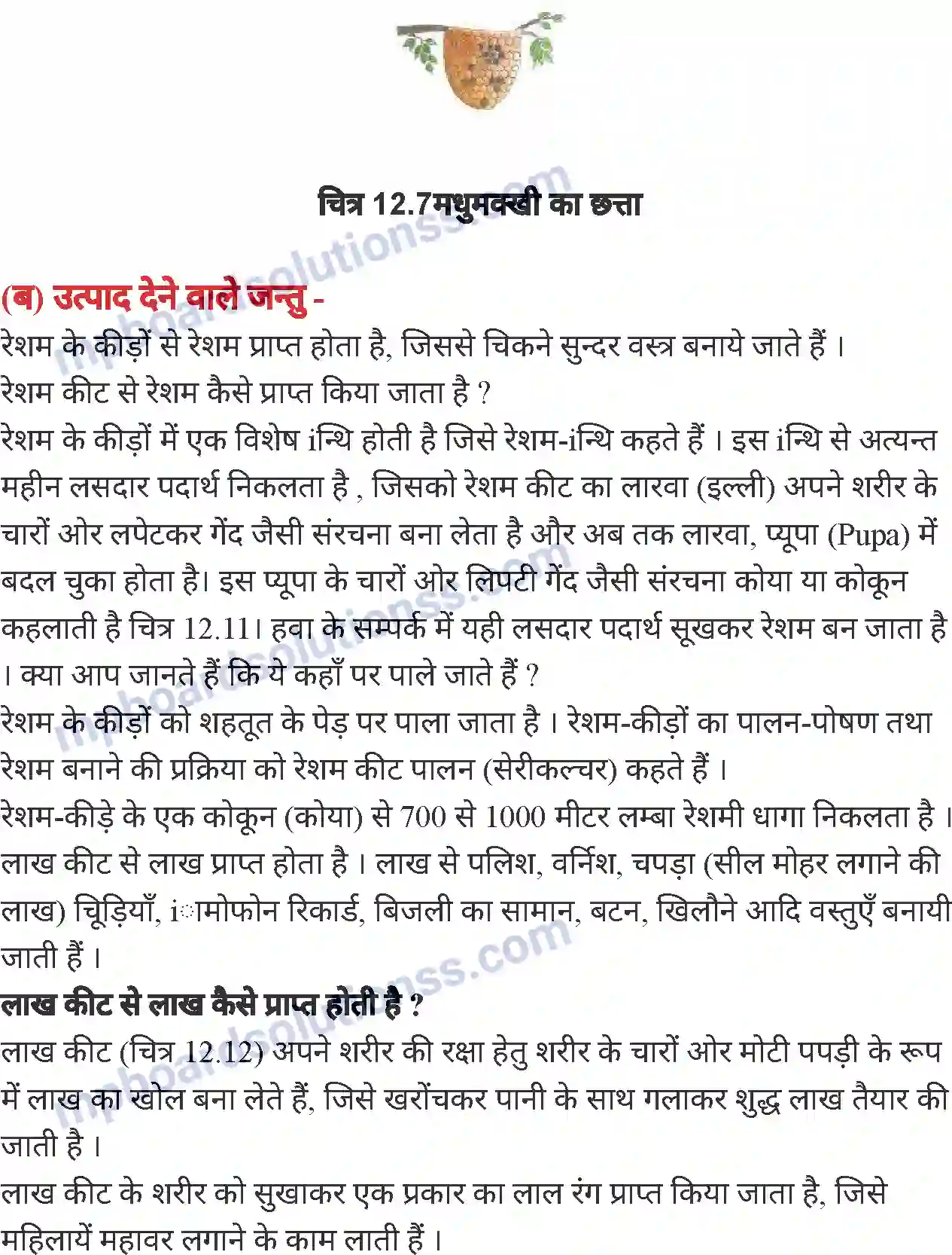 MP Board Book for Class 7 Science लाभदायक एवं हानिकारक पौधे तथा जंतु Image 10