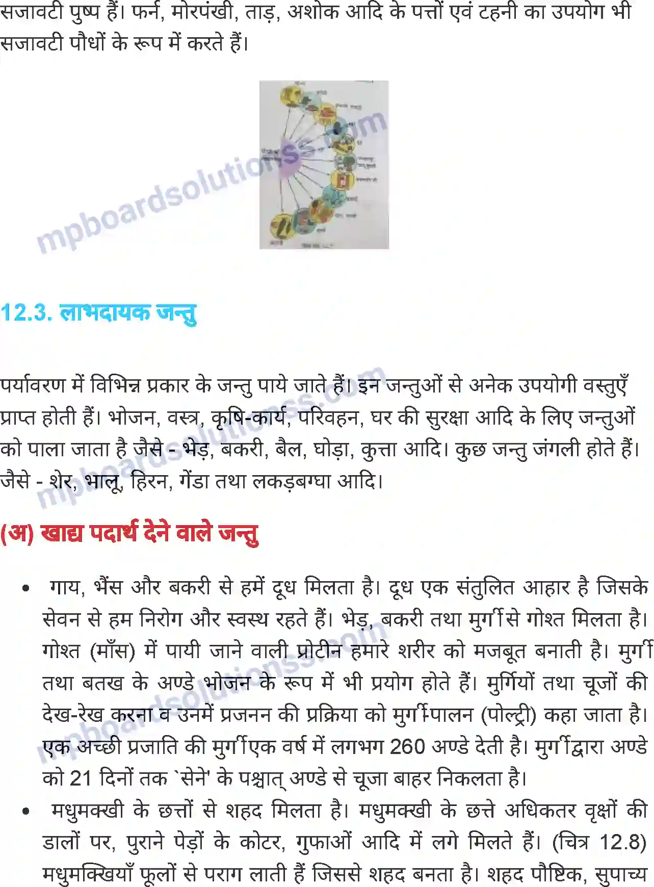 MP Board Book for Class 7 Science लाभदायक एवं हानिकारक पौधे तथा जंतु Image 8