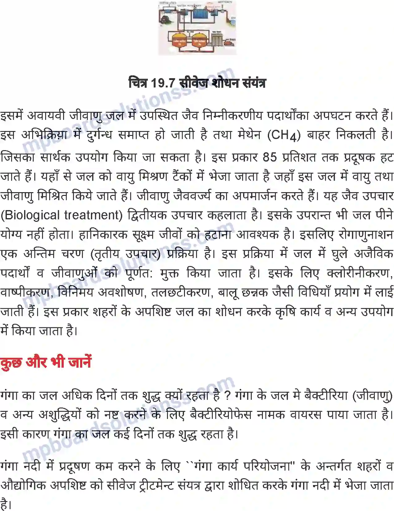 MP Board Book for Class 7 Science जल Image 14