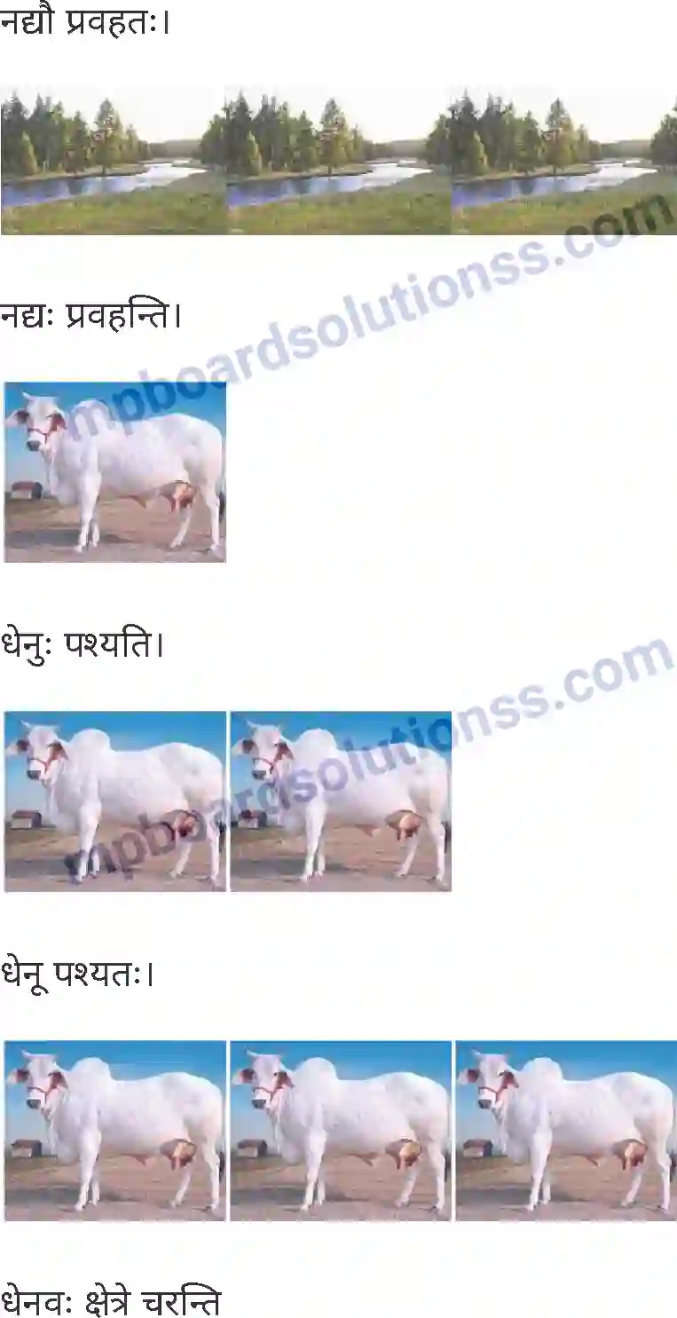 MP Board Book for Class 7 Sanskrit पुनरावलोकनम् Image 3