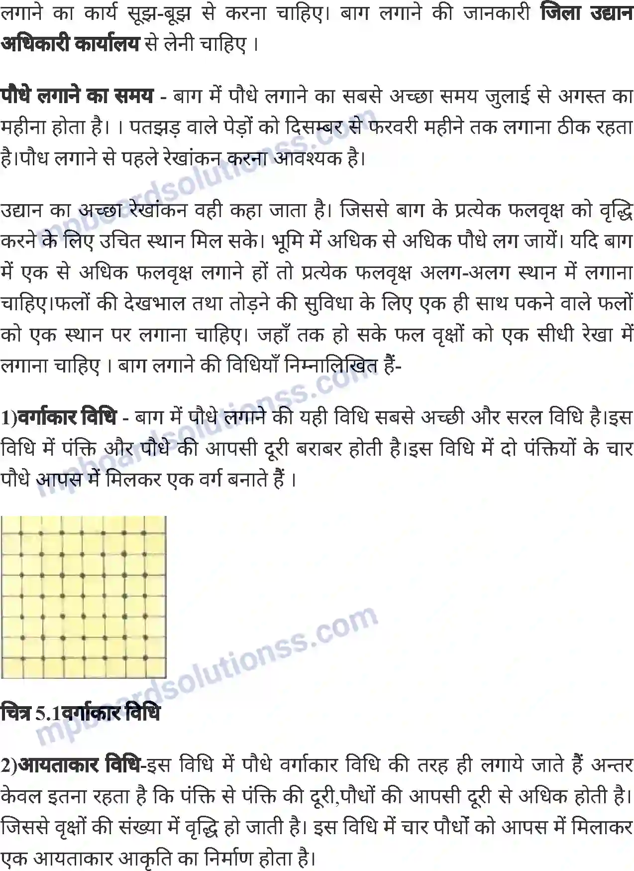 MP Board Book for Class 8 Agriculture बागवानी एवं वृक्षारोपण Image 6