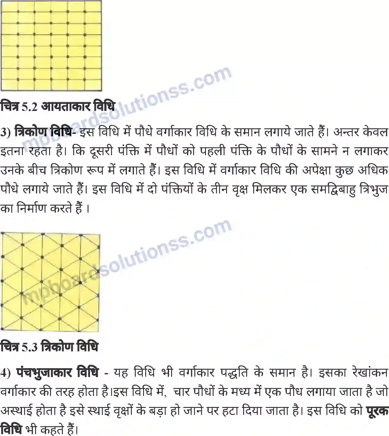 MP Board Book for Class 8 Agriculture बागवानी एवं वृक्षारोपण Image 7
