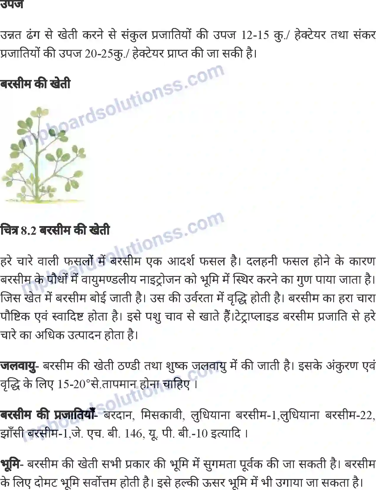 MP Board Book for Class 8 Agriculture सामान्य फसलें एवं फसल चक्र Image 10