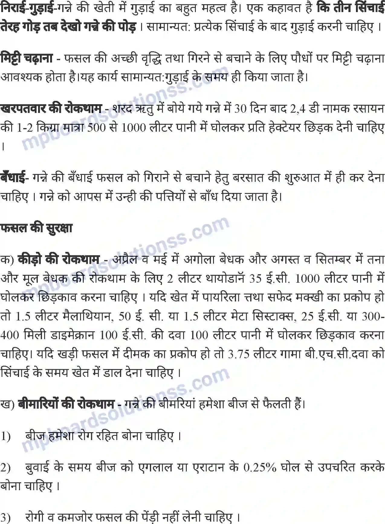 MP Board Book for Class 8 Agriculture सामान्य फसलें एवं फसल चक्र Image 4