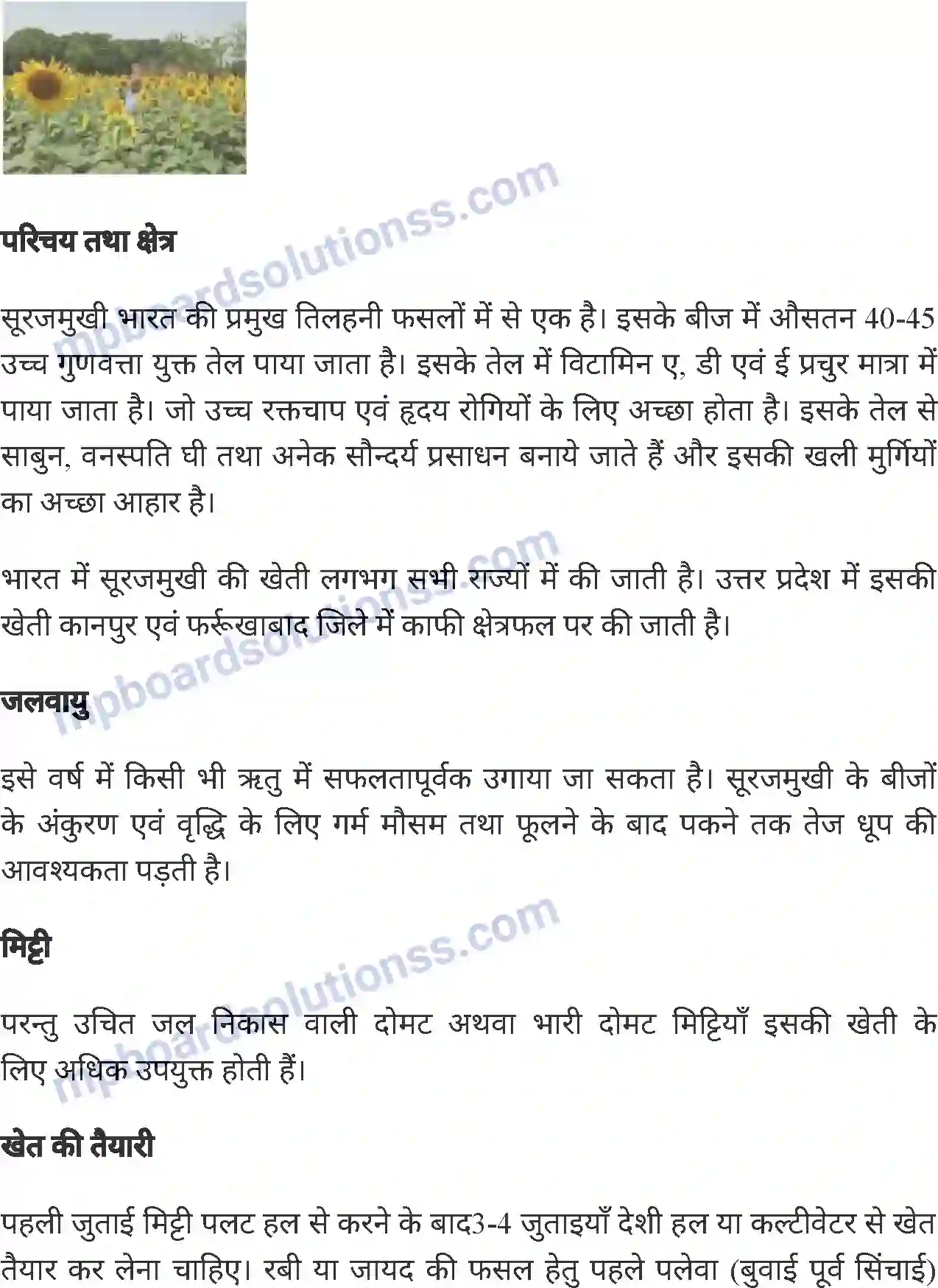 MP Board Book for Class 8 Agriculture सामान्य फसलें एवं फसल चक्र Image 6