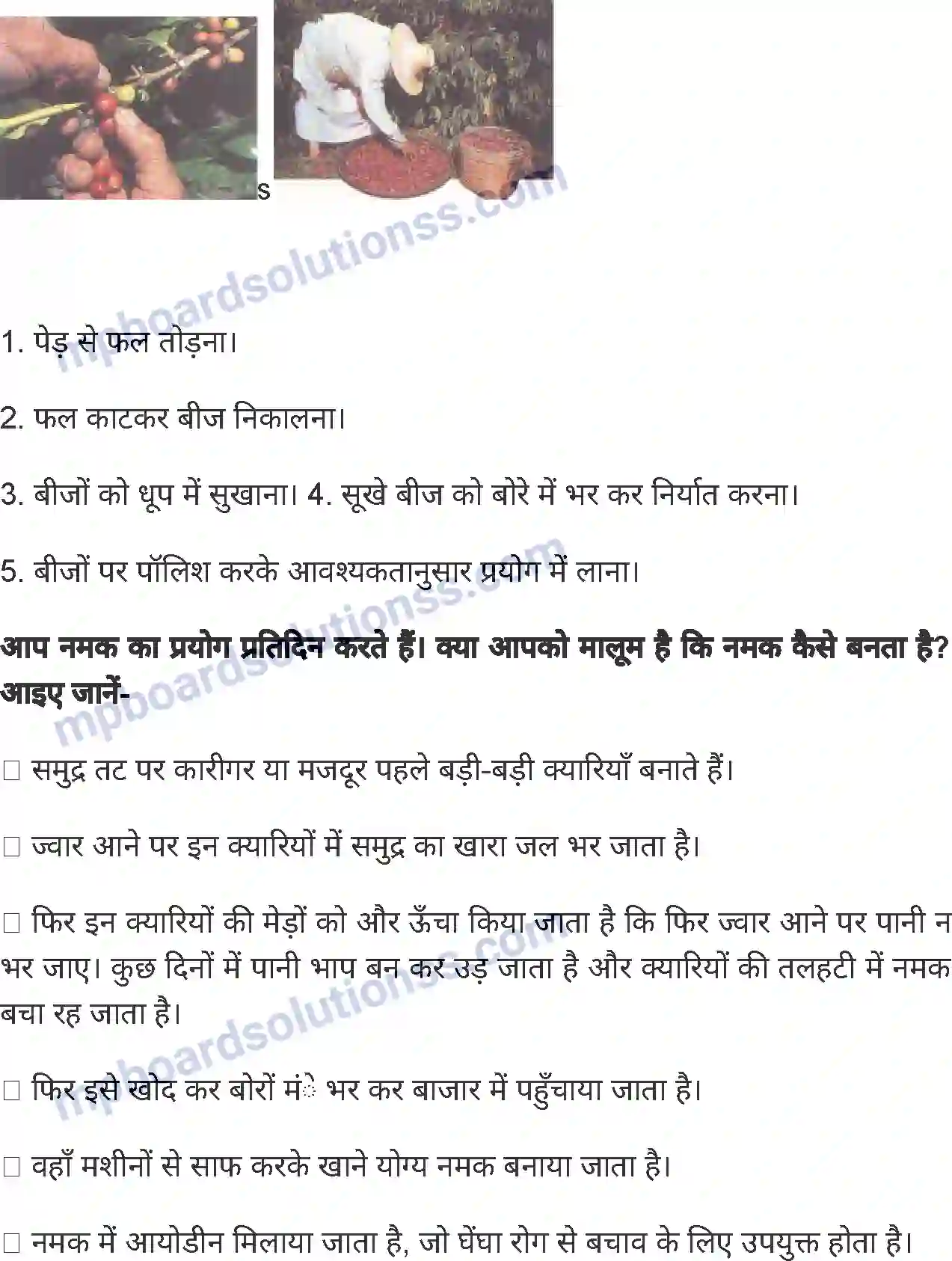 MP Board Book for Class 8 Social Science भारत - उद्योग-धन्धे Image 6