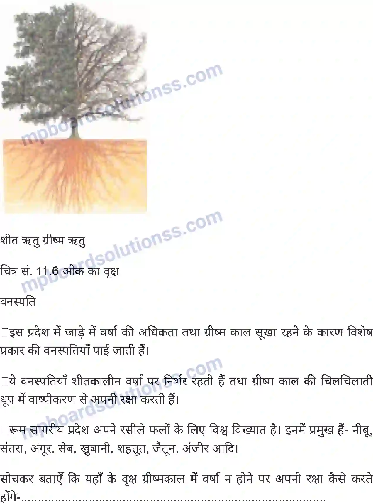 MP Board Book for Class 8 Social Science प्राकृतिक प्रदेश एवं जनजीवन - 1 Image 8