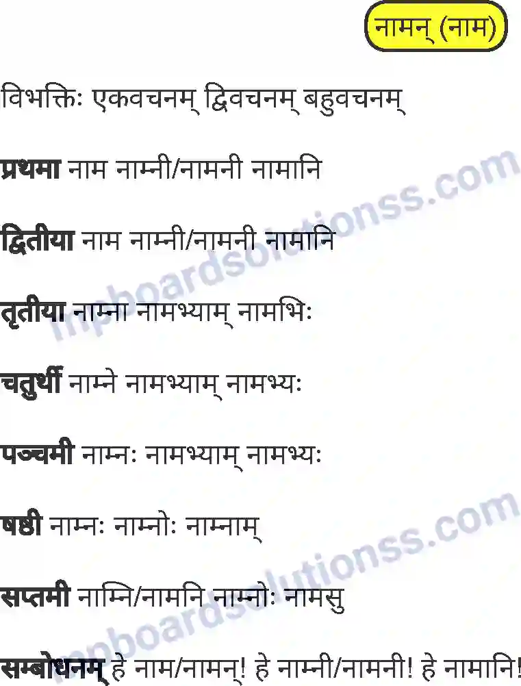 MP Board Book for Class 8 Sanskrit व्याकरण Image 11