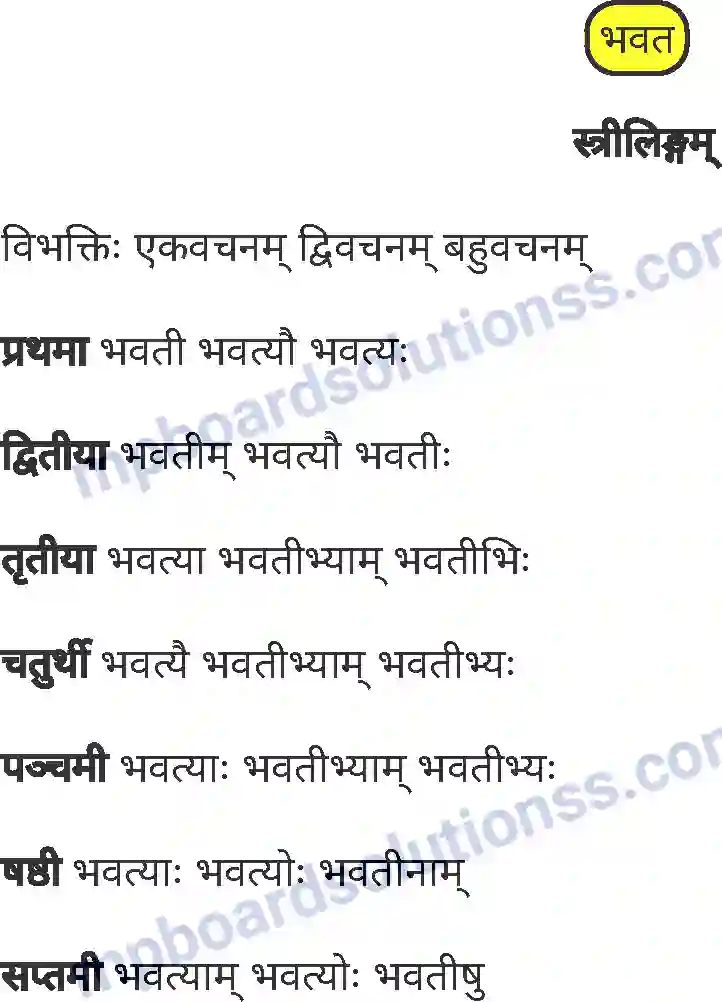 MP Board Book for Class 8 Sanskrit व्याकरण Image 15