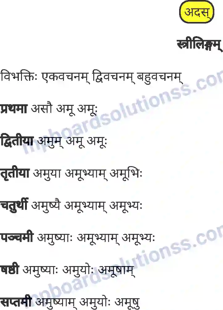 MP Board Book for Class 8 Sanskrit व्याकरण Image 17