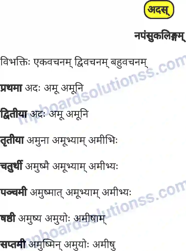 MP Board Book for Class 8 Sanskrit व्याकरण Image 18