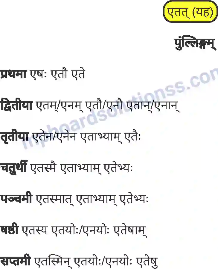 MP Board Book for Class 8 Sanskrit व्याकरण Image 19