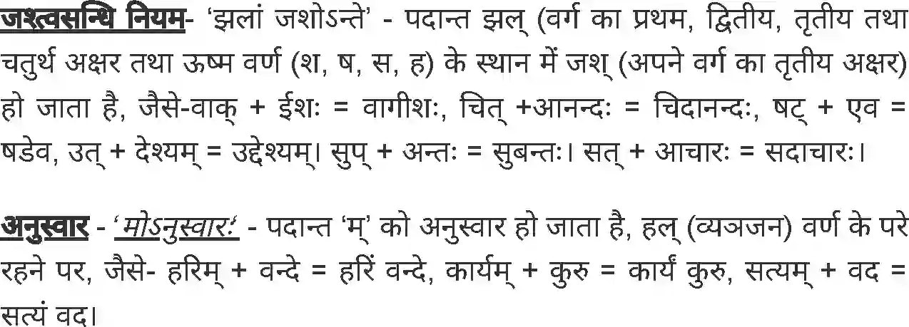 MP Board Book for Class 8 Sanskrit व्याकरण Image 2