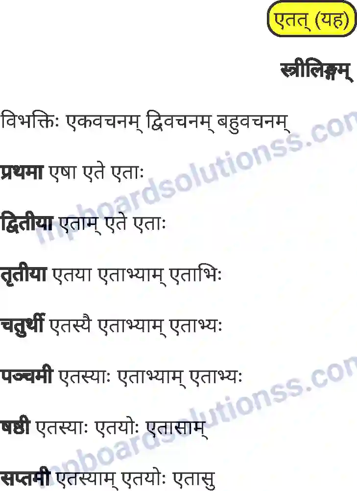 MP Board Book for Class 8 Sanskrit व्याकरण Image 20