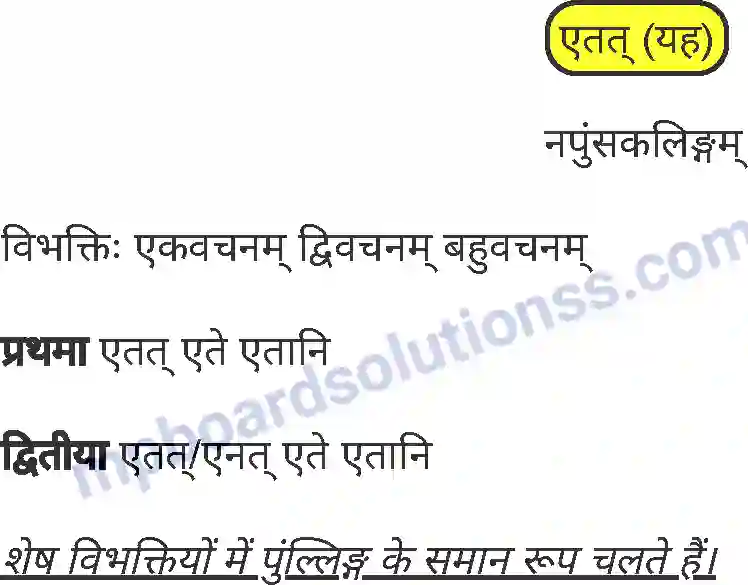 MP Board Book for Class 8 Sanskrit व्याकरण Image 21