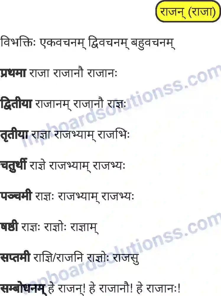 MP Board Book for Class 8 Sanskrit व्याकरण Image 4