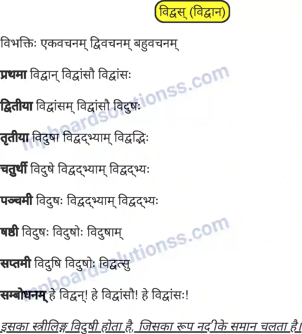 MP Board Book for Class 8 Sanskrit व्याकरण Image 5