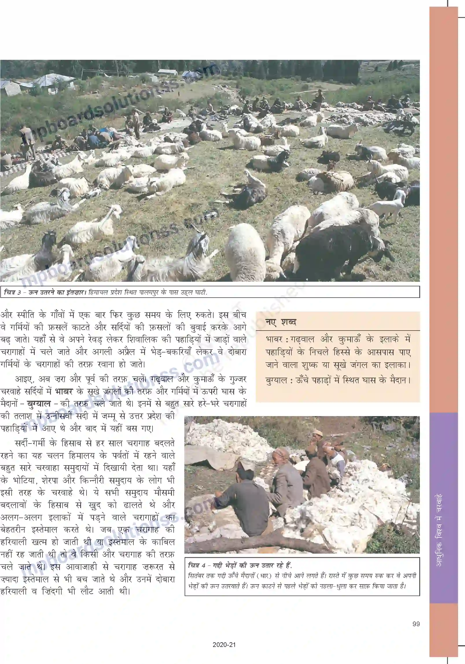 MP Board Book for Class 9 Social Science आधुनिक विश्व में चरवाहे Image 3