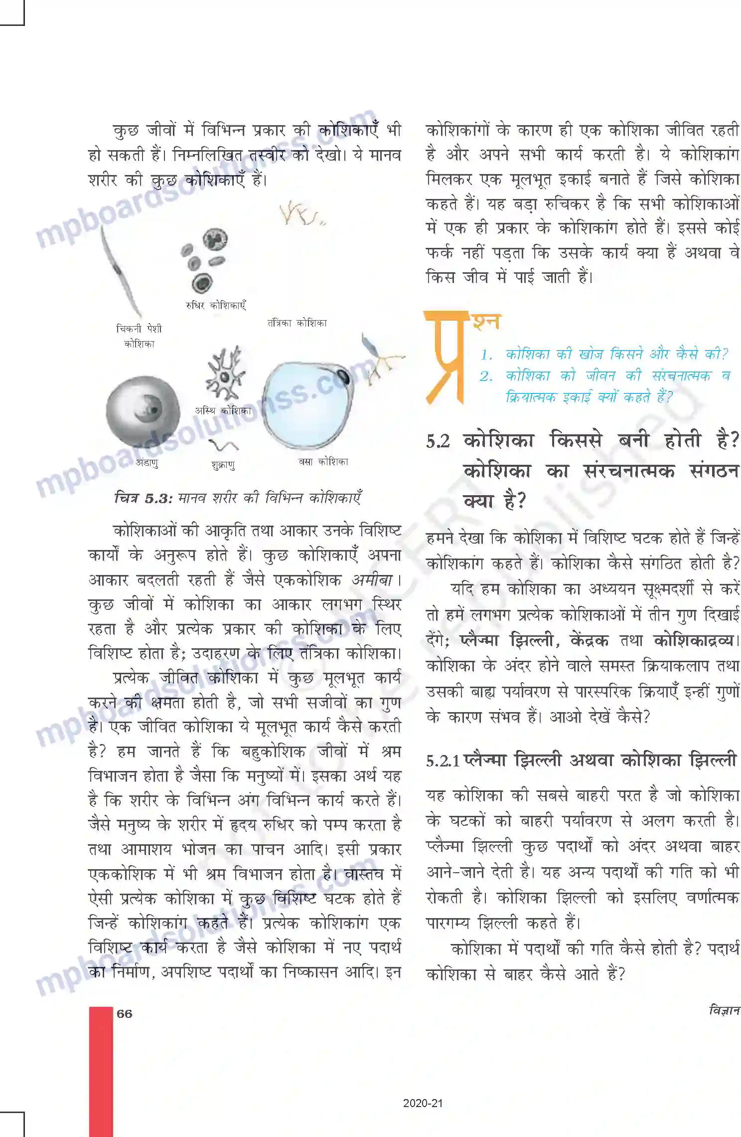 MP Board Book for Class 9 Science जीवन की मौलिक इकाई Image 3