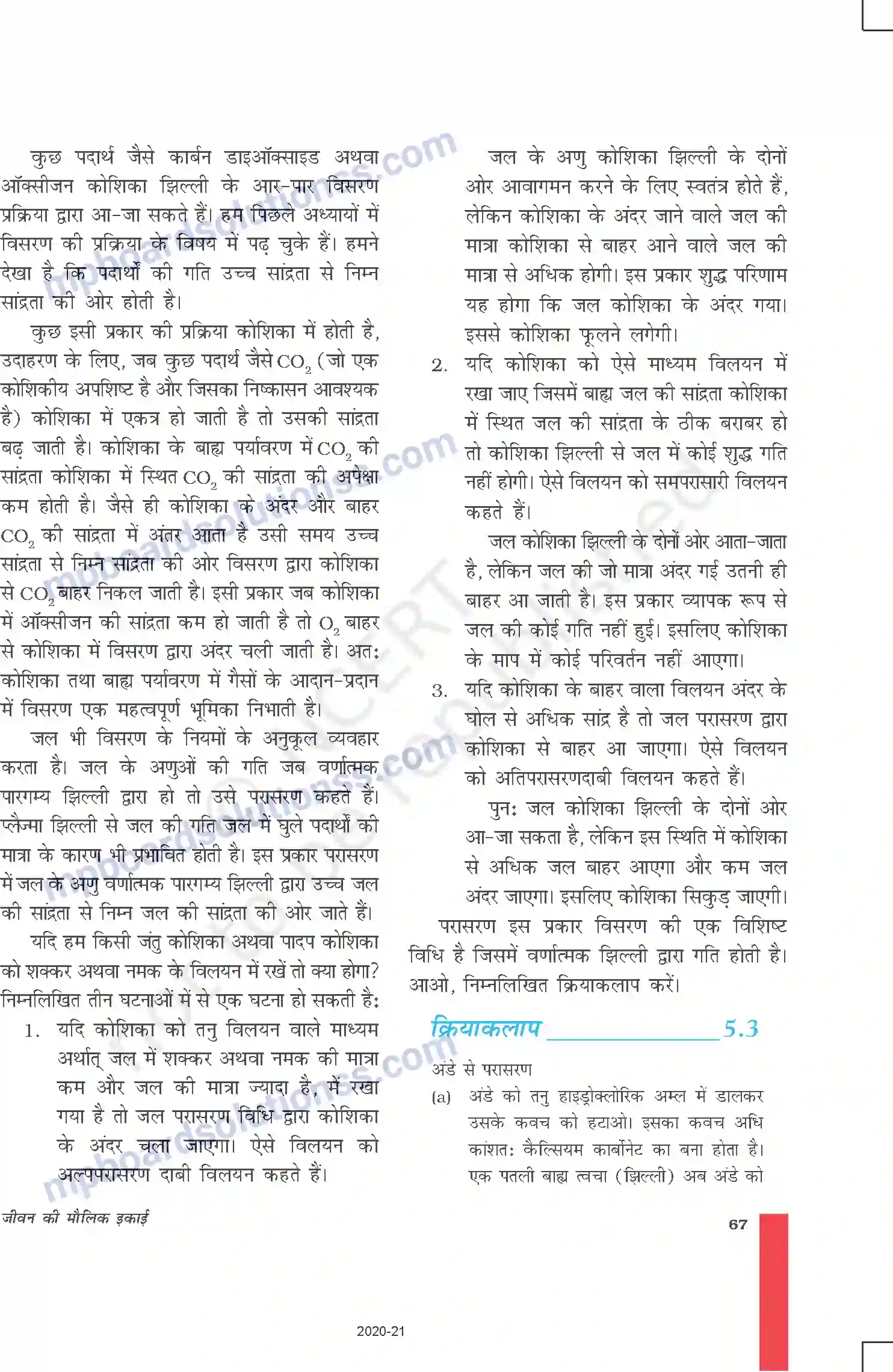 MP Board Book for Class 9 Science जीवन की मौलिक इकाई Image 4