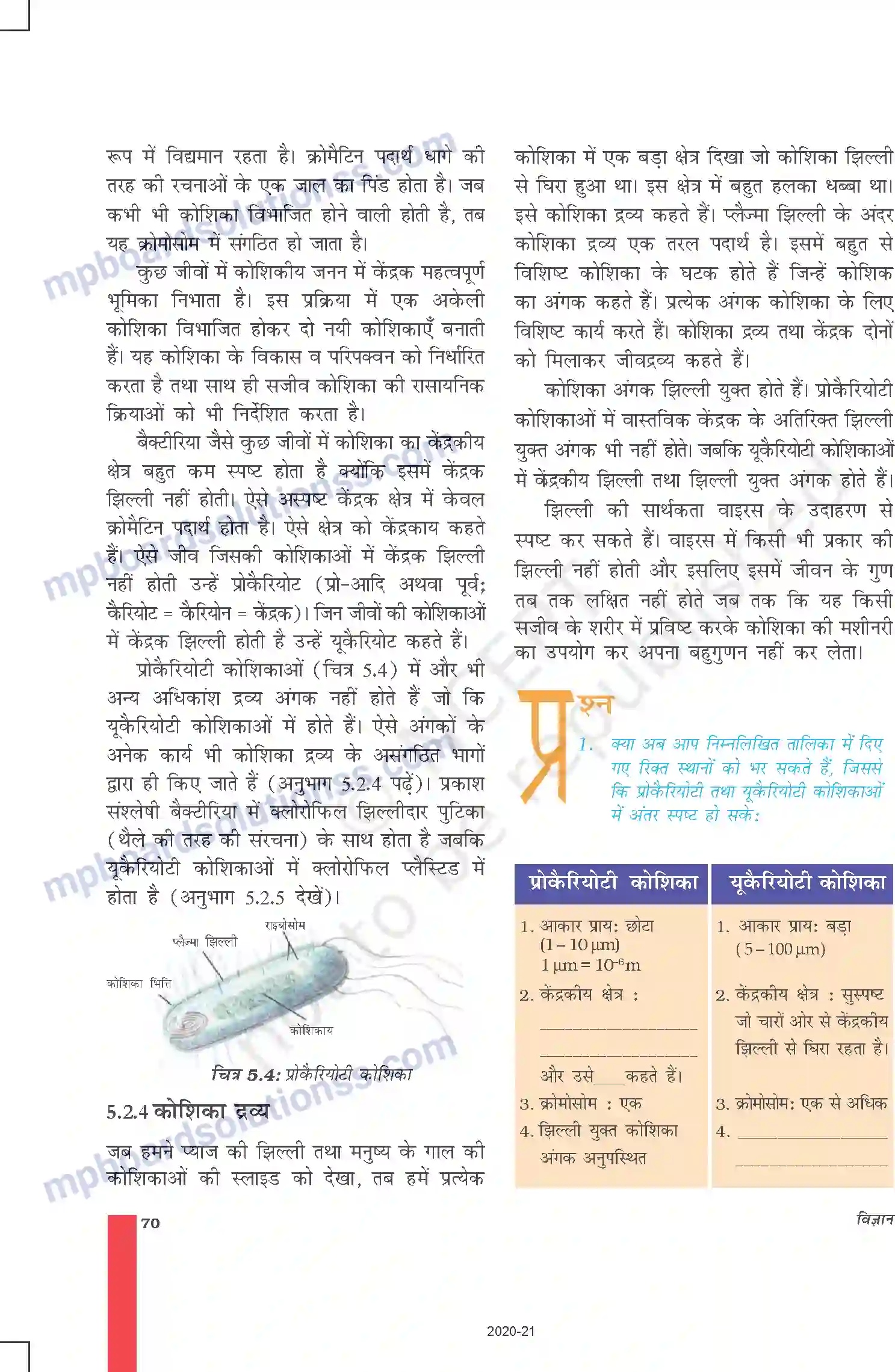 MP Board Book for Class 9 Science जीवन की मौलिक इकाई Image 7